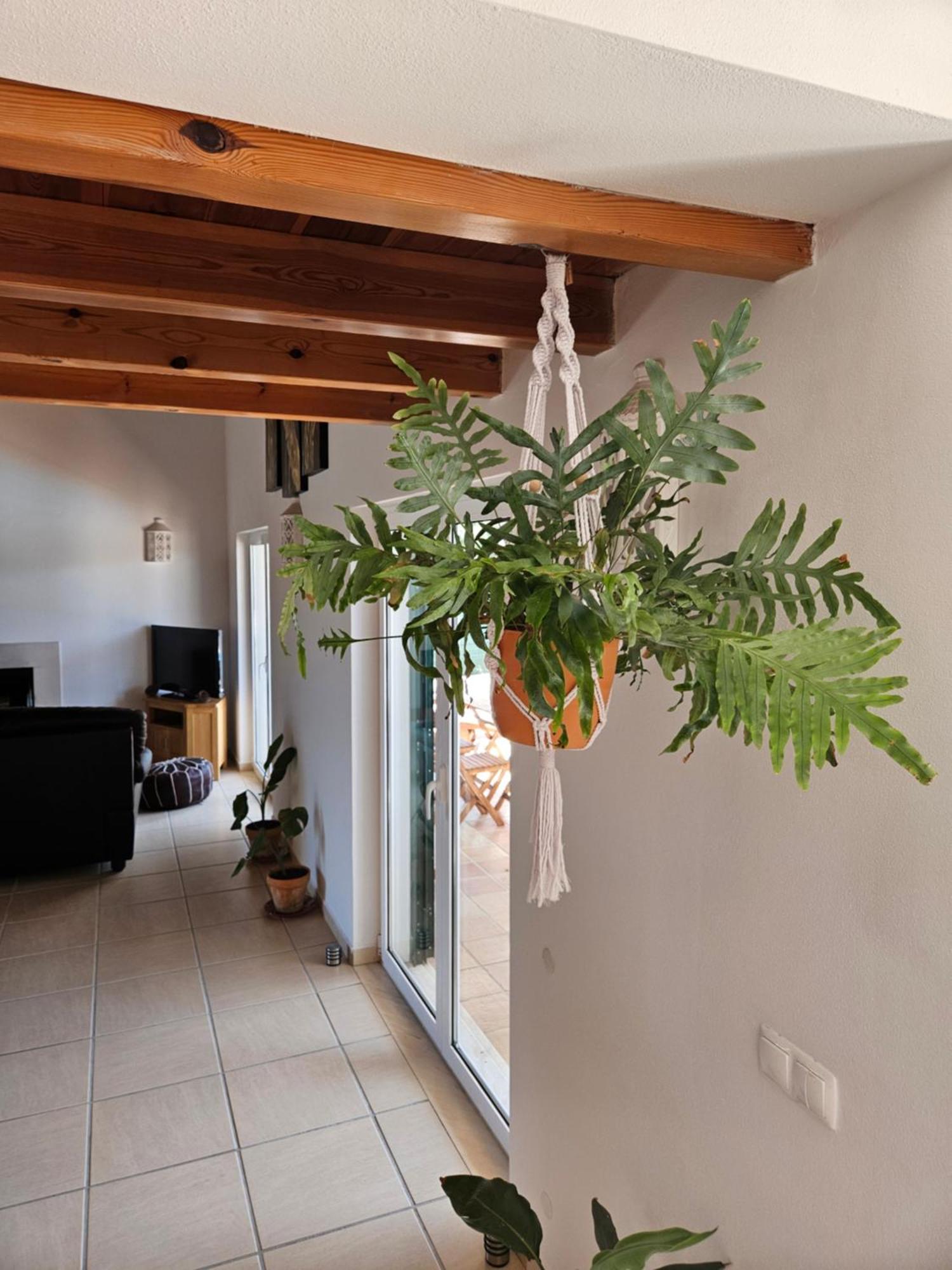 Casa Delbon Guest House Aljezur Eksteriør billede